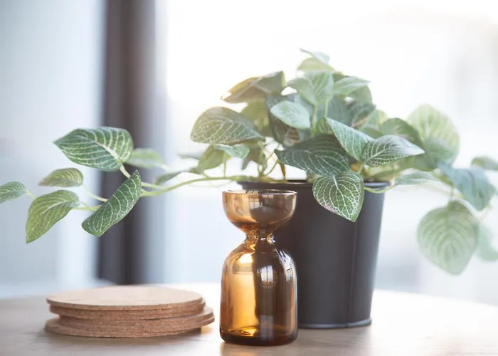 Perfeito - Floor Only *